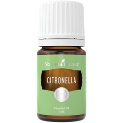 Citronella, Young Living...
