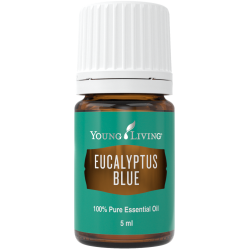 Eukalyptus blue, Young...